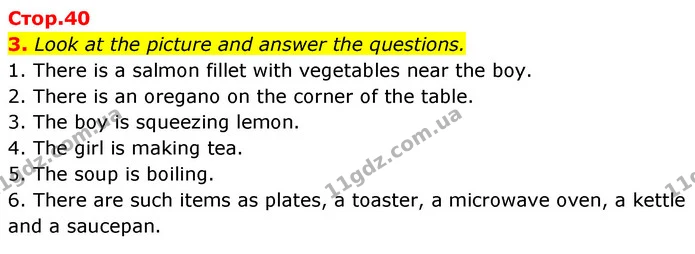 3. Look at the picture and answer the questions. — ГДЗ Робочий зошит Англійська мова 7 клас Карпюк