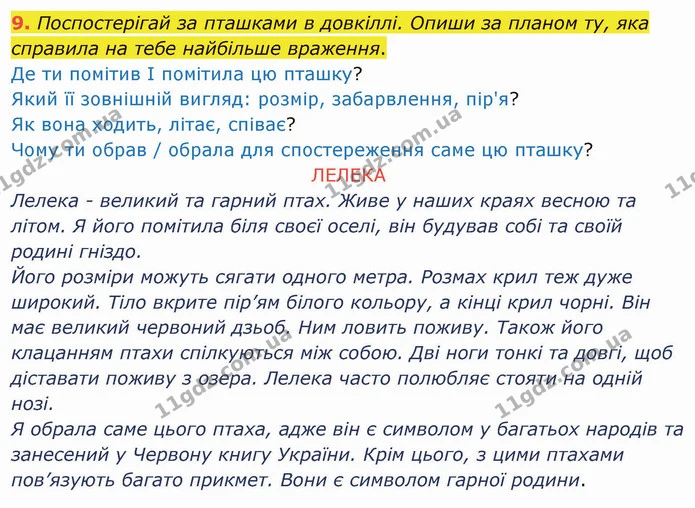 9. Поспостерігай за пташками в довкіллі. Опиши за планом ту, яка справила на тебе найбільше враження. — ГДЗ Українська мова та читання 4 клас Остапенко 2 ч.