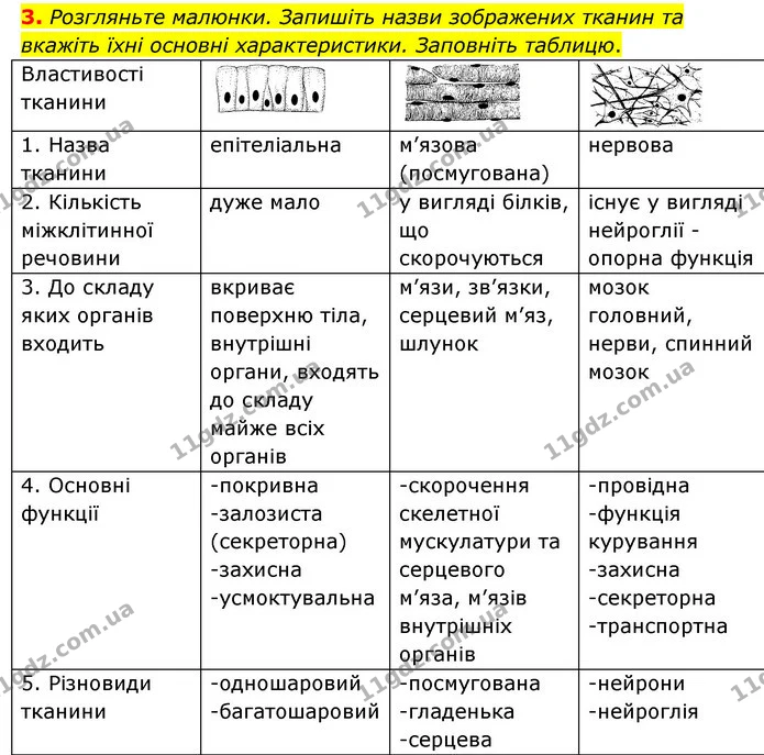 3. Розгляньте малюнки. Запишіть назви зображених тканин та вкажіть їхні основні характеристики. Заповніть таблицю. — ГДЗ Робочий зошит Біологія 8 клас Задорожний