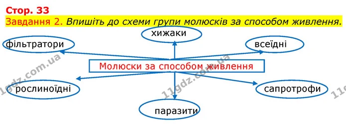 Стор. 33 — 2 — ГДЗ Робочий зошит з Біології 7 клас Яременко — ГДЗ Робочий зошит з Біології 7 клас Яременко