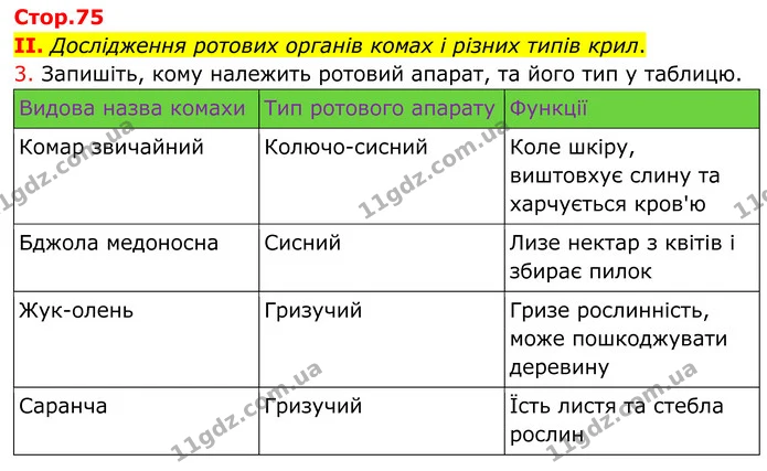 Стор. 75 — Стр.75 (1.3) — ГДЗ робочий зошит Біологія 7 клас Кулініч — ГДЗ робочий зошит Біологія 7 клас Кулініч