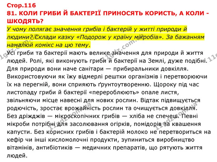 Стор. 116 — 2 — ГДЗ Я досліджую світ 3 клас Грущинська (1 частина) — ГДЗ Я досліджую світ 3 клас Грущинська (1 частина)