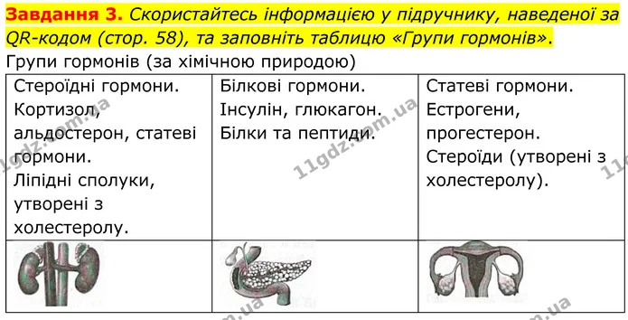 Стор. 31 — 3 — ГДЗ Робочий зошит біологія 8 клас Мирна — ГДЗ Робочий зошит біологія 8 клас Мирна