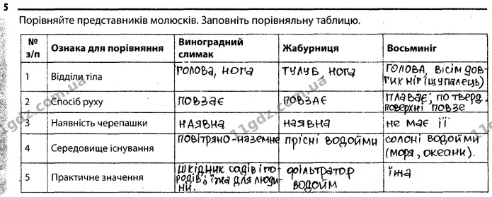 5. Порівняйте представників молюсків. Заповніть порівняльну таблицю. — ГДЗ Робочий зошит Біологія 7 клас Задорожний