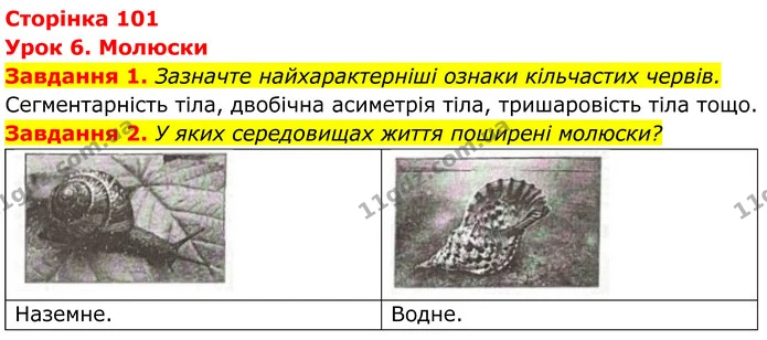 1. Зазначте найхарактерніші ознаки кільчастих червів. — ГДЗ Робочий зошит Біологія 7 клас Мирна 2024