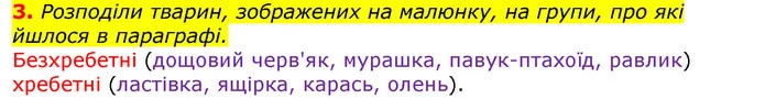 3. Розподіли тварин, зображених на малюнку, на групи, про які йшлося в параграфі. — ГДЗ Природознавство 5 клас Коршевнюк