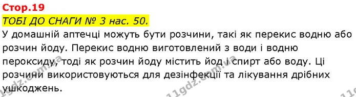 Стор. 19 — 1 — ГДЗ Робочий зошит Пізнаємо природу 6 клас Коршевнюк — ГДЗ Робочий зошит Пізнаємо природу 6 клас Коршевнюк