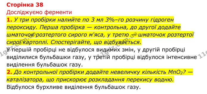 Стор. 38 — 1 — ГДЗ Біологія 8 клас Тагліна — ГДЗ Біологія 8 клас Тагліна