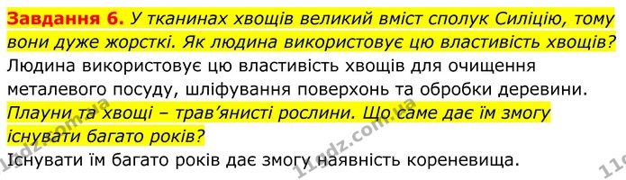 6. У тканинах хвощів великий вміст сполук Силіцію, тому вони дуже жорсткі. Як людина використовує цю властивість хвощів? — ГДЗ Робочий зошит Біологія 7 клас Мирна 2024