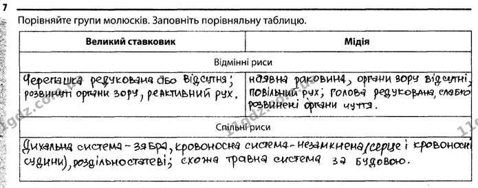 7. Порівняйте групи молюсків. Заповніть порівняльну таблицю. — ГДЗ Робочий зошит Біологія 7 клас Задорожний