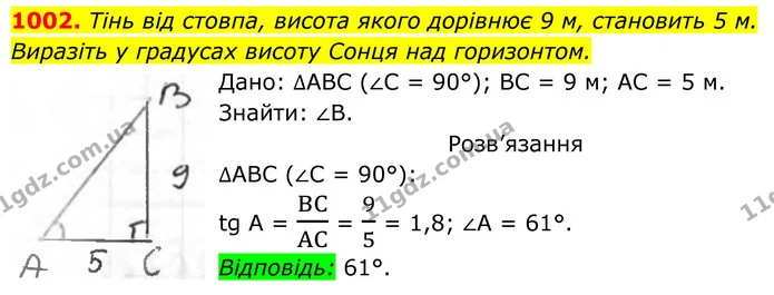 1002. Тінь від стовпа, висота якого 9 м, становить 5 м. Виразіть у градусах висоту Сонця над горизонтом. — ГДЗ Геометрія 8 клас Бурда
