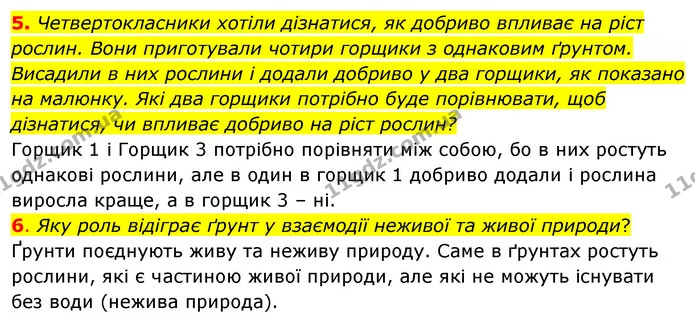 5. Четвертокласники хотіли дізнатися, як добриво впливає на ріст рослин. Вони приготували чотири горщики з однаковим ґрунтом. Висадили — ГДЗ Робочий зошит Я досліджую світ 4 клас Гільберг