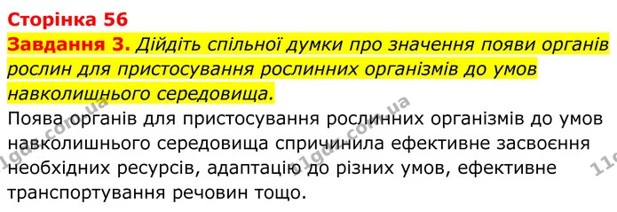 3. Дійдіть спільної думки про значення появи органів рослин для пристосування рослинних організмів до умов навколишнього середовища. — ГДЗ Робочий зошит Біологія 7 клас Мирна 2024