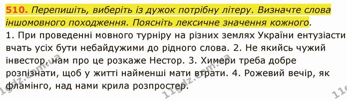 510. Перепишіть, виберіть із дужок потрібну літеру. Визначте слова іншомовного походження. Поясніть лексичне значення кожного. — ГДЗ Українська мова 6 клас Глазова