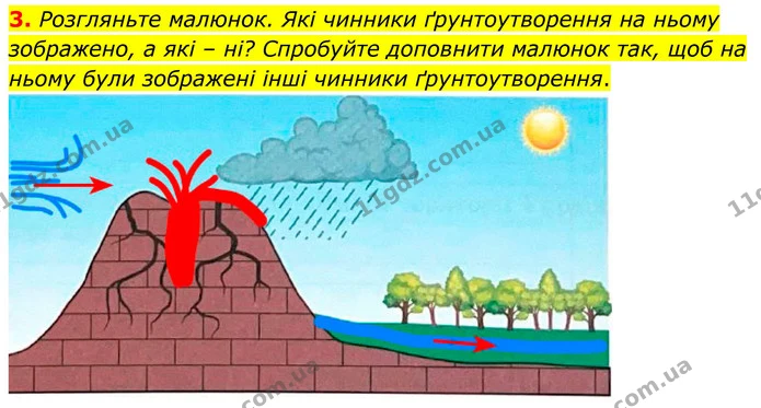 3. Розгляньте малюнок. Які чинники ґрунтоутворення на ньому зображено, а які – ні? Спробуйте доповнити малюнок так, щоб на ньому були — ГДЗ Зошит практичні Географія 8 клас Гільберг