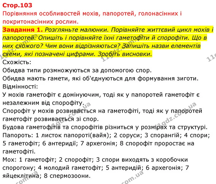 Стор. 103 — 1 — ГДЗ Біологія 7 клас Тагліна — ГДЗ Біологія 7 клас Тагліна