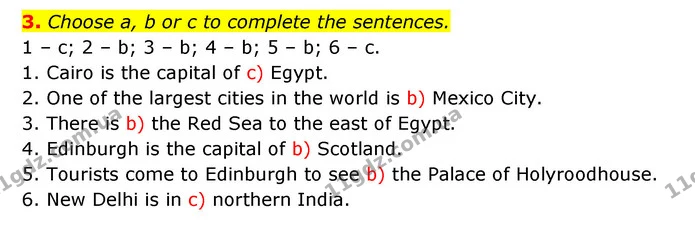 3. Choose a, b or c to complete the sentences. — ГДЗ Англійська мова 6 клас Карпюк 2023
