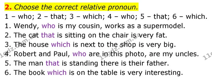 2. Choose the correct relative pronoun. — ГДЗ Англійська мова 6 клас Карпюк 2023