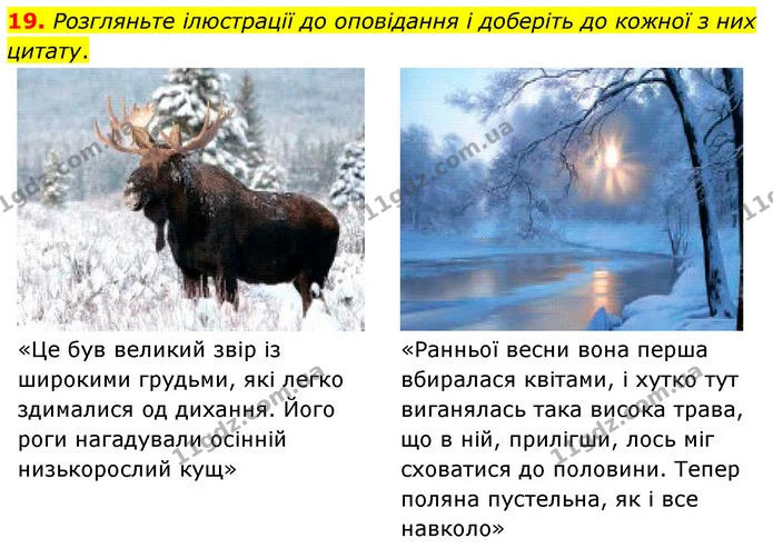 19. Розгляньте ілюстрації до оповідання і доберіть до кожної з них цитату. — ГДЗ Українська література 5 клас Заболотний