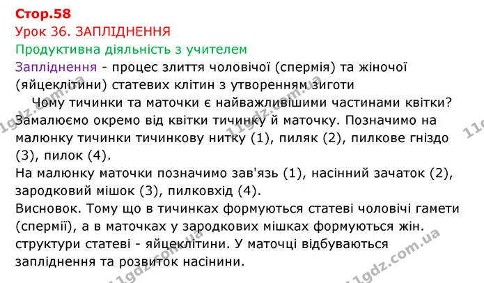 Стор. 58 — 1 — ГДЗ Робочий зошит Біологія 6 клас Соболь — ГДЗ Робочий зошит Біологія 6 клас Соболь