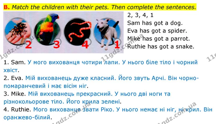 B. Match the children with their pets. Then complete the sentences. — ГДЗ зошит Англійська мова 5 клас Мітчелл