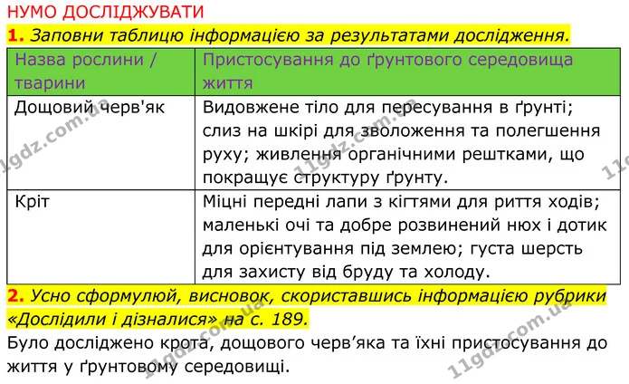 2. Усно сформулюй, висновок, скориставшись інформацією рубрики «Дослідили і дізналися» на с. 189. — ГДЗ робочий зошит Пізнаємо природу 5 клас Коршевнюк