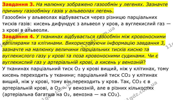 Стор. 88 — 3-4 — ГДЗ Робочий зошит біологія 8 клас Мирна — ГДЗ Робочий зошит біологія 8 клас Мирна