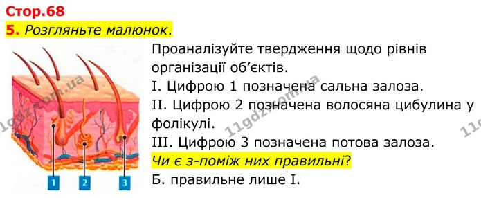 1. Прочитайте текст англійською мовою. — частина 5 — ГДЗ Робочий зошит Біологія 8 клас Тагліна (2025)