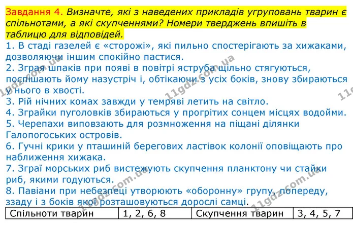 Стор. 91 — 4 — ГДЗ Робочий зошит з Біології 7 клас Яременко — ГДЗ Робочий зошит з Біології 7 клас Яременко
