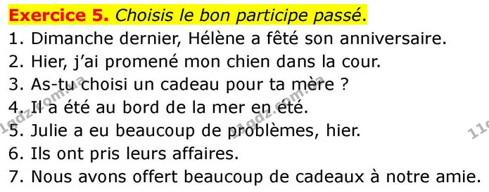Exercice 5. Choisis le bon participe passé. — ГДЗ Французька мова 7 клас Чумак