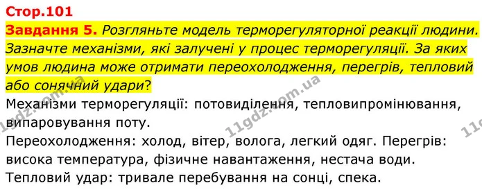 Стор. 101 — 5 — ГДЗ Робочий зошит біологія 8 клас Мирна — ГДЗ Робочий зошит біологія 8 клас Мирна