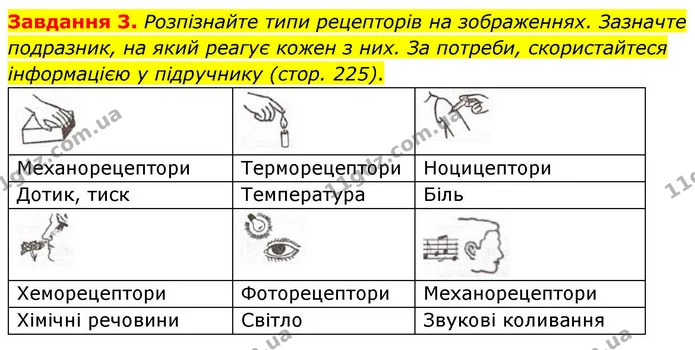 Стор. 102 — 3 — ГДЗ Робочий зошит біологія 8 клас Мирна — ГДЗ Робочий зошит біологія 8 клас Мирна