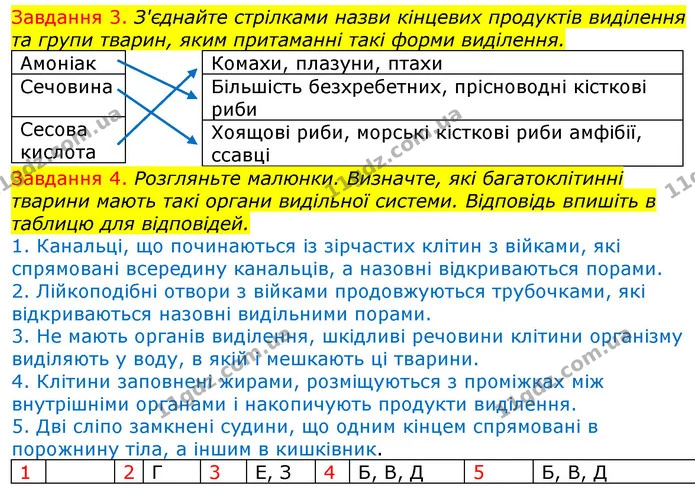Стор. 67 — 3-4 — ГДЗ Робочий зошит з Біології 7 клас Яременко — ГДЗ Робочий зошит з Біології 7 клас Яременко