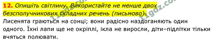 12. Опишіть світлину. Використайте не менше двох безсполучникових складних речень (письмово). — ГДЗ Українська мова 9 клас Авраменко 2026
