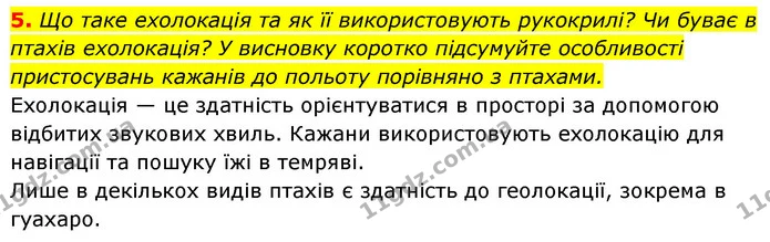 5. Що таке ехолокація та як її використовують рукокрилі? Чи буває в птахів ехолокація? У висновку коротко підсумуйте особливості — ГДЗ Біологія 7 клас Тагліна