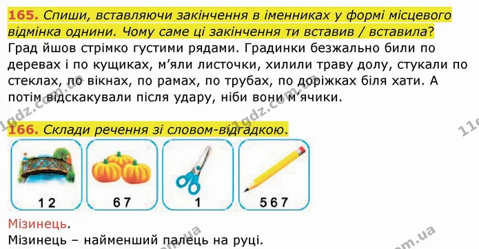 165. Спиши, вставляючи закінчення в іменниках у формі місцевого відмінка однини. Чому саме ці закінчення ти вставив / вставила? — ГДЗ Українська мова та читання 4 клас Кравцова