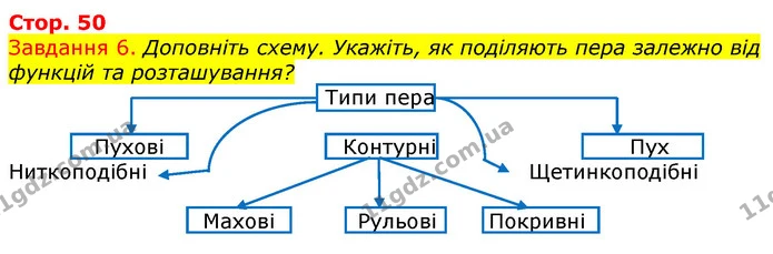 Стор. 50 — 6 — ГДЗ Робочий зошит з Біології 7 клас Яременко — ГДЗ Робочий зошит з Біології 7 клас Яременко