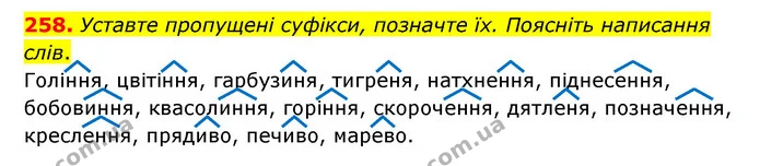258. Уставте пропущені суфікси, позначте їх. Поясніть написання слів. — ГДЗ Українська мова 6 клас Голуб 2023