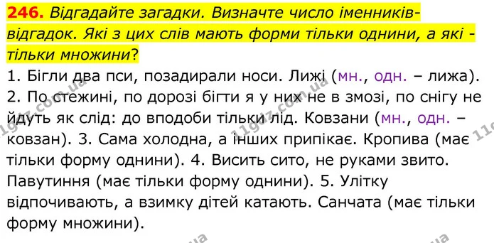 246. Відгадайте загадки. Визначте число іменників-відгадок. Які з цих слів мають форми тільки однини, а які - тільки множини? — ГДЗ Українська мова 6 клас Заболотний 2020