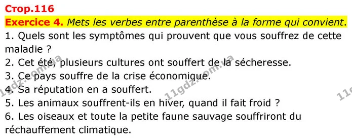 Exercice 4. Mets les verbes entre parenthèse à la forme qui convient. — ГДЗ Французька мова 7 клас Чумак