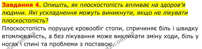 Стор. 49 — 4 — ГДЗ Робочий зошит біологія 8 клас Мирна — ГДЗ Робочий зошит біологія 8 клас Мирна