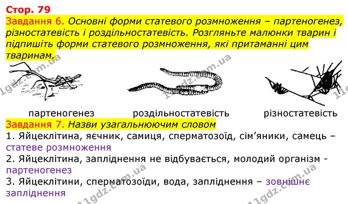 Стор. 79 — 6-7 — ГДЗ Робочий зошит з Біології 7 клас Яременко — ГДЗ Робочий зошит з Біології 7 клас Яременко