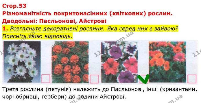 1. Розгляньте декоративні рослини. Яка серед них є зайвою? Поясніть свою відповідь. — ГДЗ робочий зошит Біологія 7 клас Кулініч