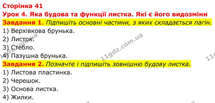 1. Підпишіть основні частини, з яких складається пагін. — ГДЗ Робочий зошит Біологія 7 клас Мирна 2024
