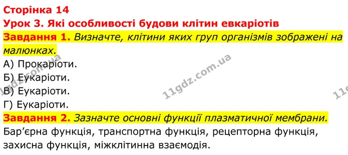 1. Визначте, клітини яких груп організмів зображені на малюнках. — ГДЗ Робочий зошит Біологія 7 клас Мирна 2024