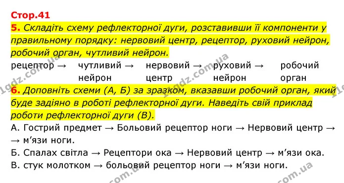 5. Складіть схему рефлекторної дуги, розставивши її компоненти у правильному порядку: нервовий центр, рецептор, руховий нейрон, робочий — ГДЗ Робочий зошит Біологія 8 клас Задорожний