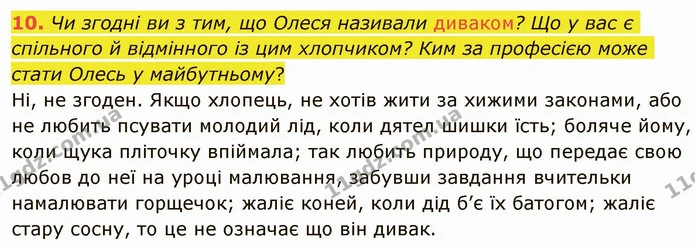 10. Чи згодні ви з тим, що Олеся називали диваком? Що у вас є спільного й відмінного із цим хлопчиком? Ким за професією може стати — ГДЗ Українська література 5 клас Авраменко 2022