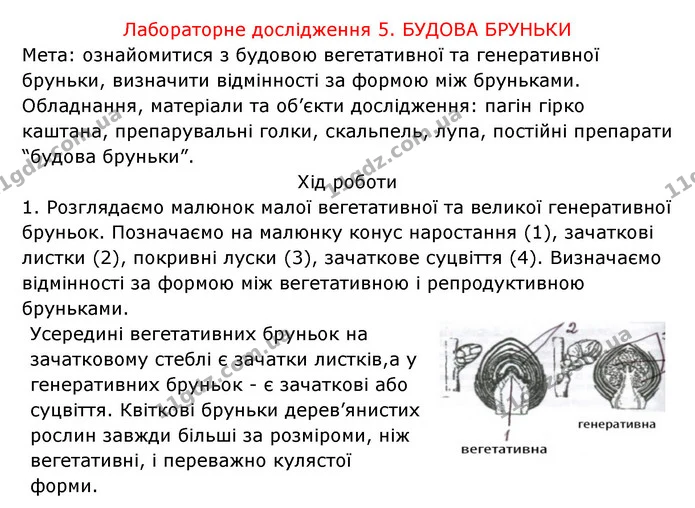 Стор. 36 — 2 — ГДЗ Робочий зошит Біологія 6 клас Соболь — ГДЗ Робочий зошит Біологія 6 клас Соболь