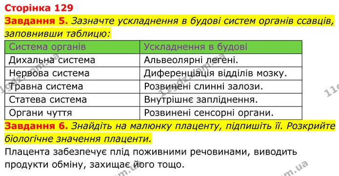 5. Зазначте ускладнення в будові систем органів ссавців, заповнивши таблицю: — ГДЗ Робочий зошит Біологія 7 клас Мирна 2024