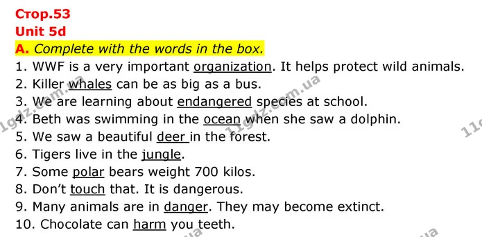 A. Complete with the words in the box. — ГДЗ Робочий зошит Англійська мова 6 клас Мітчелл